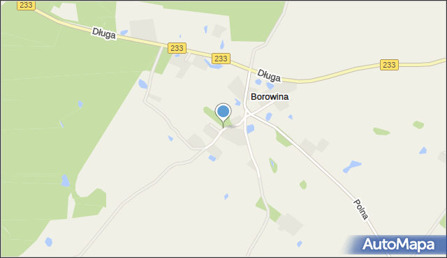 Borowina gmina Przywidz, Wiejska, mapa Borowina gmina Przywidz