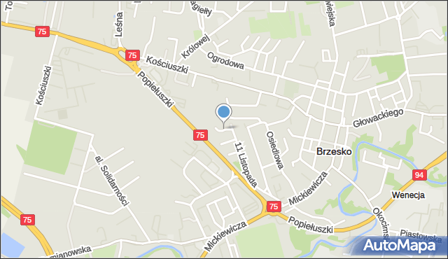 Brzesko, Widok, mapa Brzesko