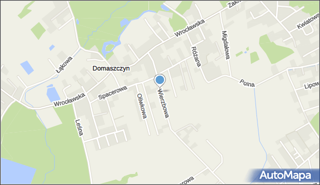 Domaszczyn, Wierzbowa, mapa Domaszczyn