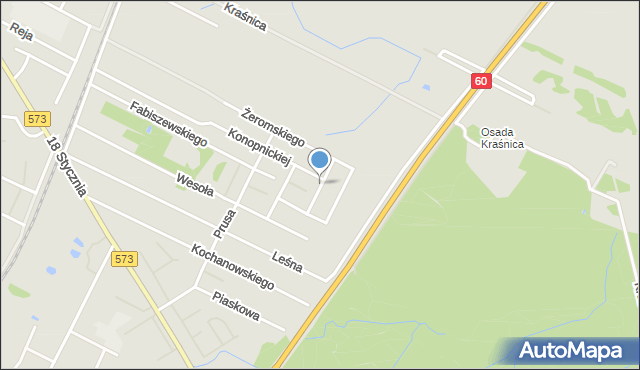 Gostynin, Wierzbowa, mapa Gostynin