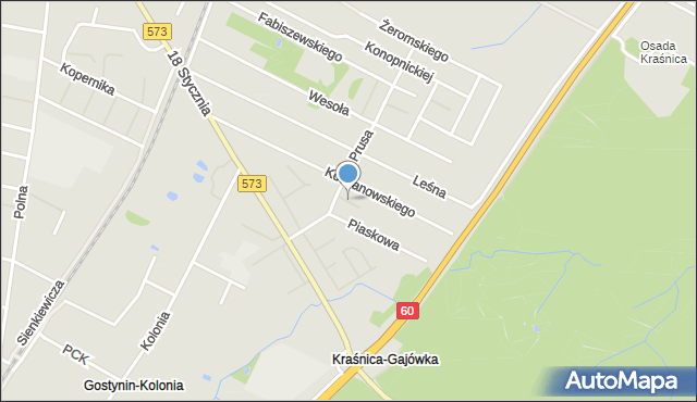 Gostynin, Wilczkowskiego Eugeniusza, mapa Gostynin