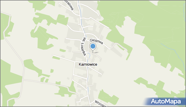 Karniowice gmina Trzebinia, Witkiewicza, mapa Karniowice gmina Trzebinia