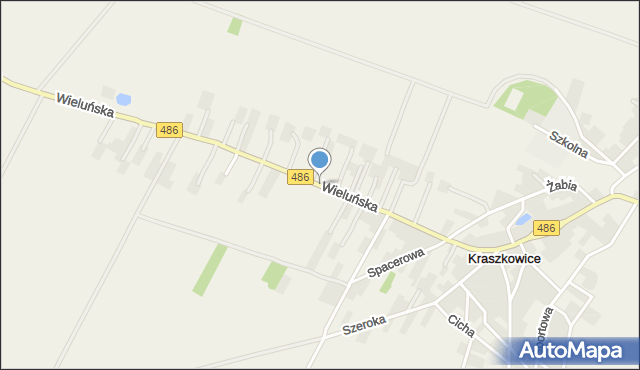 Kraszkowice, Wieluńska, mapa Kraszkowice