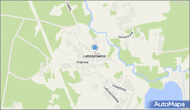 Leboszowice, Wiejska, mapa Leboszowice