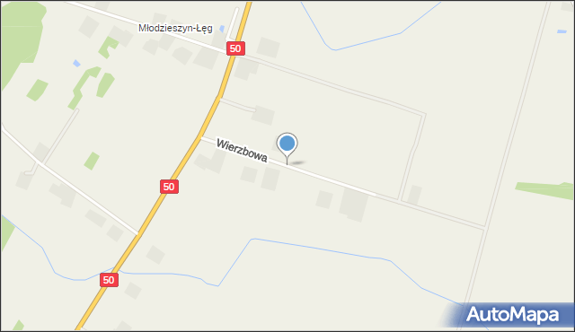 Młodzieszyn, Wierzbowa, mapa Młodzieszyn