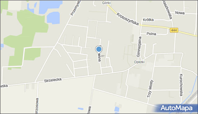 Odolanów powiat ostrowski, Wiosenna, mapa Odolanów powiat ostrowski