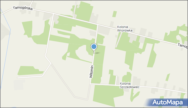 Ożarowice, Witomin, mapa Ożarowice