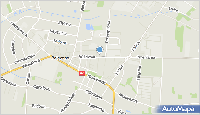 Pajęczno, Wiśniowa, mapa Pajęczno