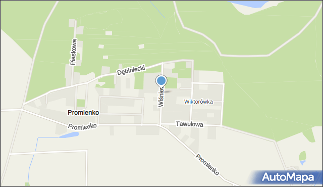 Promienko, Wiśniowa, mapa Promienko