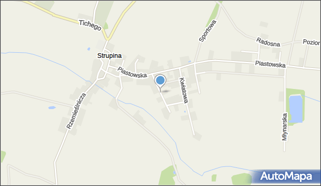 Strupina, Willowa, mapa Strupina