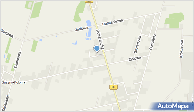 Suszno, Wiosenna, mapa Suszno