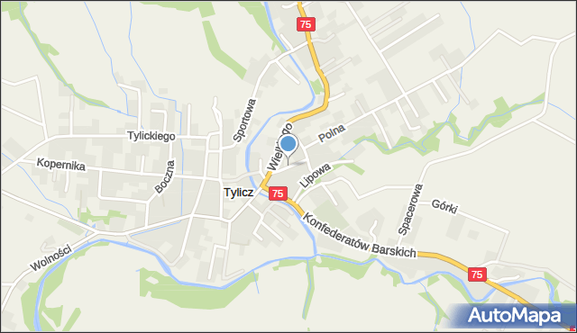 Tylicz, Wiejska, mapa Tylicz