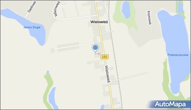 Wielowieś gmina Międzychód, Wielowieś, mapa Wielowieś gmina Międzychód