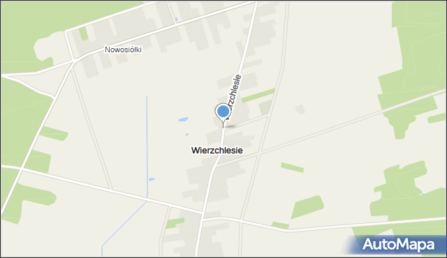 Wierzchlesie, Wierzchlesie, mapa Wierzchlesie