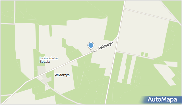 Wiktorzyn gmina Wyszki, Wiktorzyn, mapa Wiktorzyn gmina Wyszki