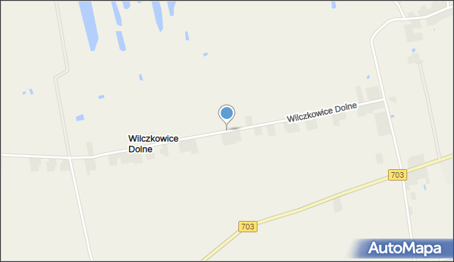 Wilczkowice Dolne gmina Łęczyca, Wilczkowice Dolne, mapa Wilczkowice Dolne gmina Łęczyca