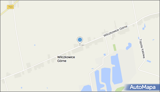 Wilczkowice Górne gmina Łęczyca, Wilczkowice Górne, mapa Wilczkowice Górne gmina Łęczyca