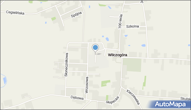 Wilczogóra gmina Wilczyn, Wilczogóra, mapa Wilczogóra gmina Wilczyn