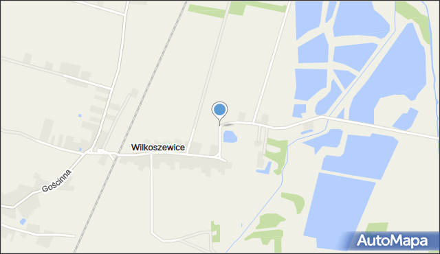 Wilkoszewice, Wilkoszewice, mapa Wilkoszewice