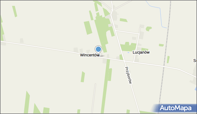 Wincentów gmina Widawa, Wincentów, mapa Wincentów gmina Widawa