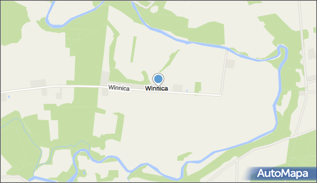 Winnica gmina Brudzeń Duży, Winnica, mapa Winnica gmina Brudzeń Duży