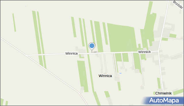 Winnica gmina Kramsk, Winnica, mapa Winnica gmina Kramsk