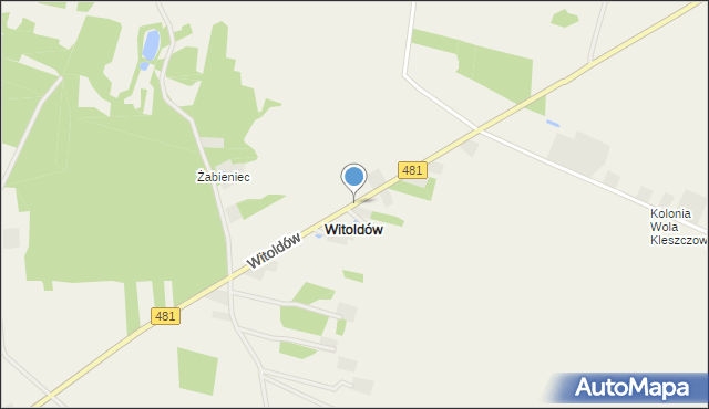 Witoldów gmina Widawa, Witoldów, mapa Witoldów gmina Widawa