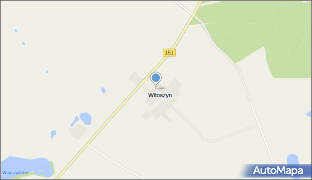 Witoszyn gmina Choszczno, Witoszyn, mapa Witoszyn gmina Choszczno