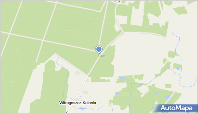 Witrogoszcz-Kolonia, Witrogoszcz-Kolonia, mapa Witrogoszcz-Kolonia