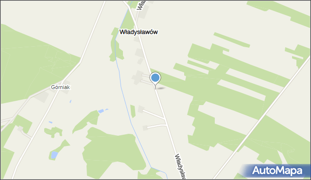 Władysławów gmina Żelechlinek, Władysławów, mapa Władysławów gmina Żelechlinek