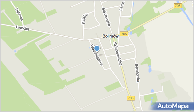 Bolimów, Wodociągowa, mapa Bolimów