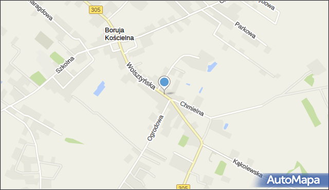 Boruja Kościelna, Wolsztyńska, mapa Boruja Kościelna