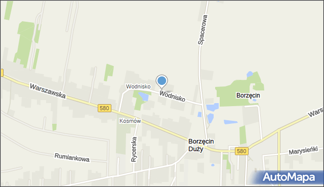 Borzęcin Duży, Wodnisko, mapa Borzęcin Duży