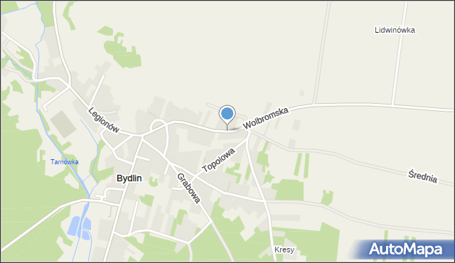 Bydlin, Wolbromska, mapa Bydlin