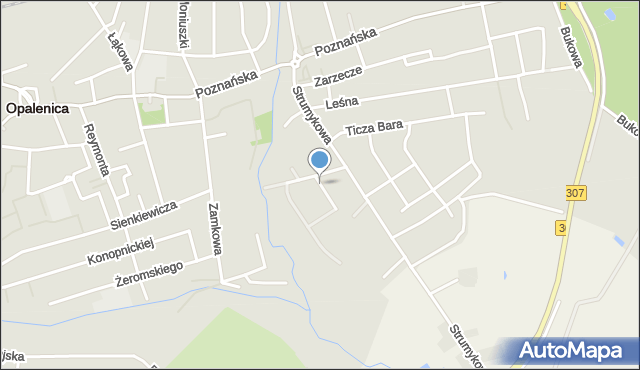 Opalenica powiat nowotomyski, Wodna, mapa Opalenica powiat nowotomyski