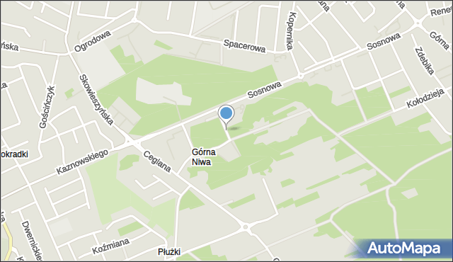 Puławy, Woźnego Zygmunta, mapa Puław