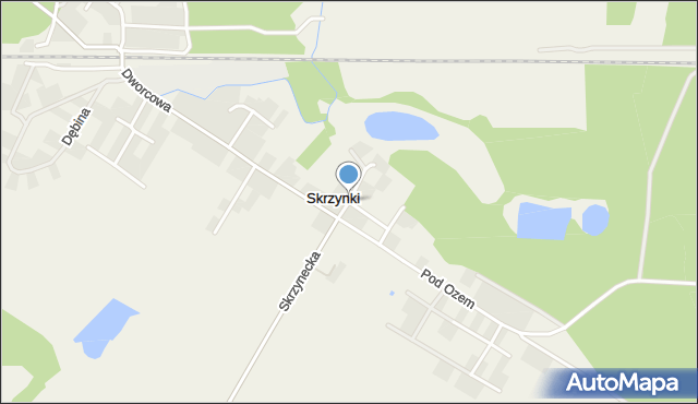 Skrzynki gmina Stęszew, Wodna, mapa Skrzynki gmina Stęszew