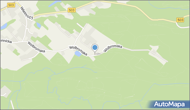Suchacz, Wolbromska, mapa Suchacz