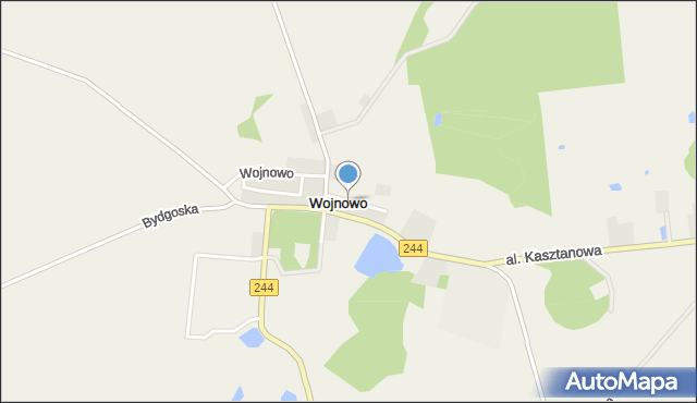 Wojnowo gmina Sicienko, Wojnowo, mapa Wojnowo gmina Sicienko