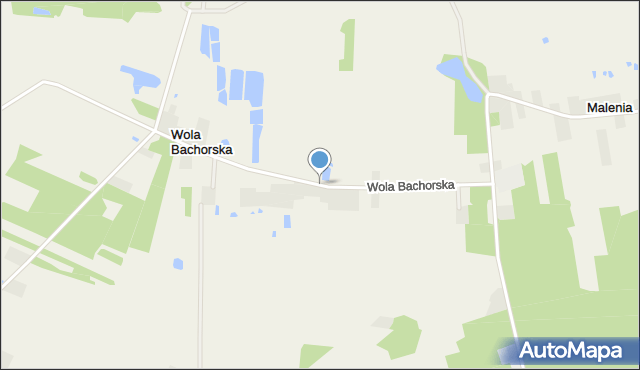 Wola Bachorska, Wola Bachorska, mapa Wola Bachorska