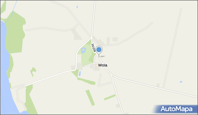 Wola gmina Rogowo, Wola, mapa Wola gmina Rogowo