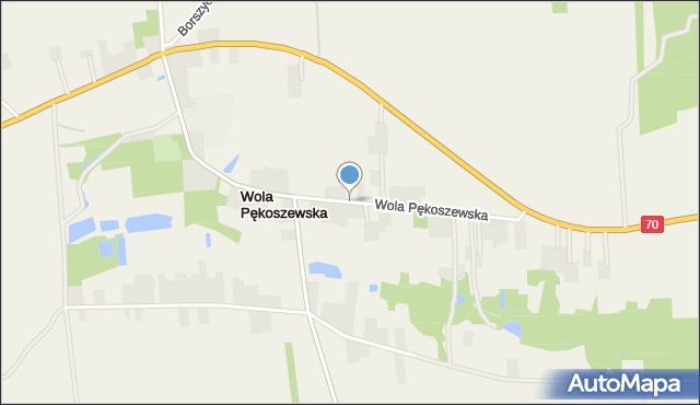 Wola Pękoszewska, Wola Pękoszewska, mapa Wola Pękoszewska