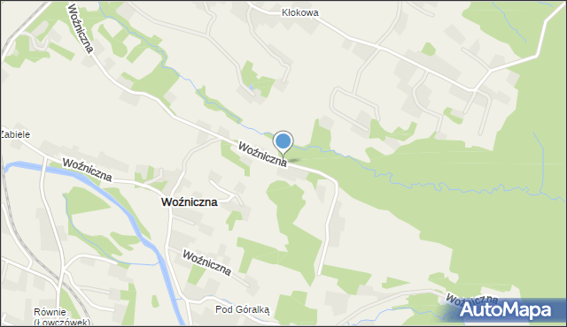 Woźniczna, Woźniczna, mapa Woźniczna