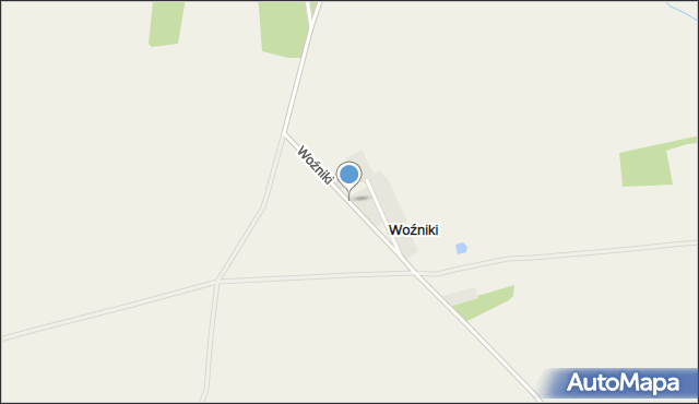 Woźniki gmina Grodzisk Wielkopolski, Woźniki, mapa Woźniki gmina Grodzisk Wielkopolski