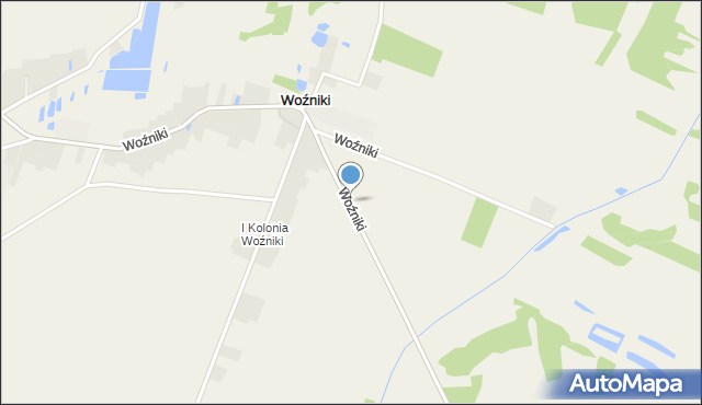 Woźniki gmina Lgota Wielka, Woźniki, mapa Woźniki gmina Lgota Wielka