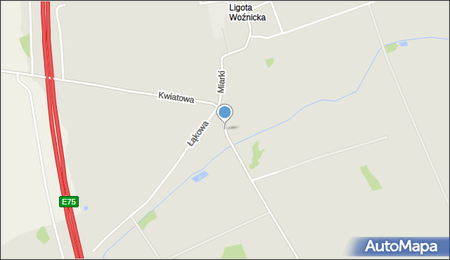 Woźniki powiat lubliniecki, Woźnicka, mapa Woźniki powiat lubliniecki