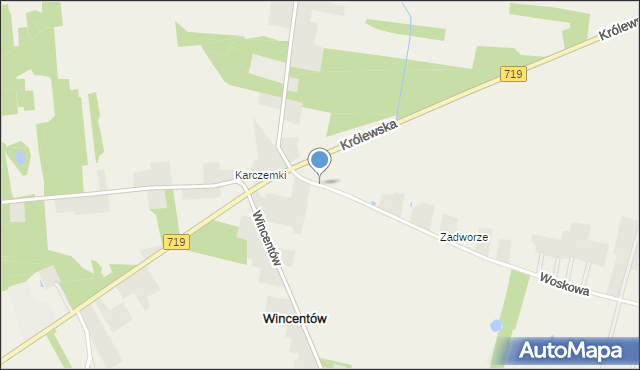 Wygoda gmina Puszcza Mariańska, Woskowa, mapa Wygoda gmina Puszcza Mariańska