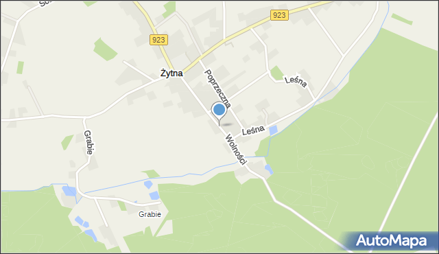 Żytna, Wolności, mapa Żytna