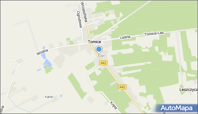 Tomice gmina Gizałki, Wrzesińska, mapa Tomice gmina Gizałki