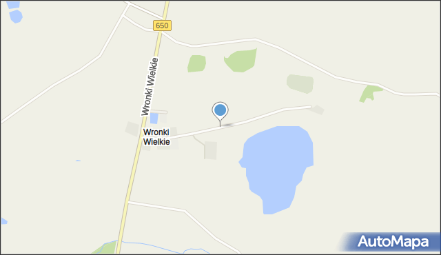 Wronki Wielkie, Wronki Wielkie, mapa Wronki Wielkie